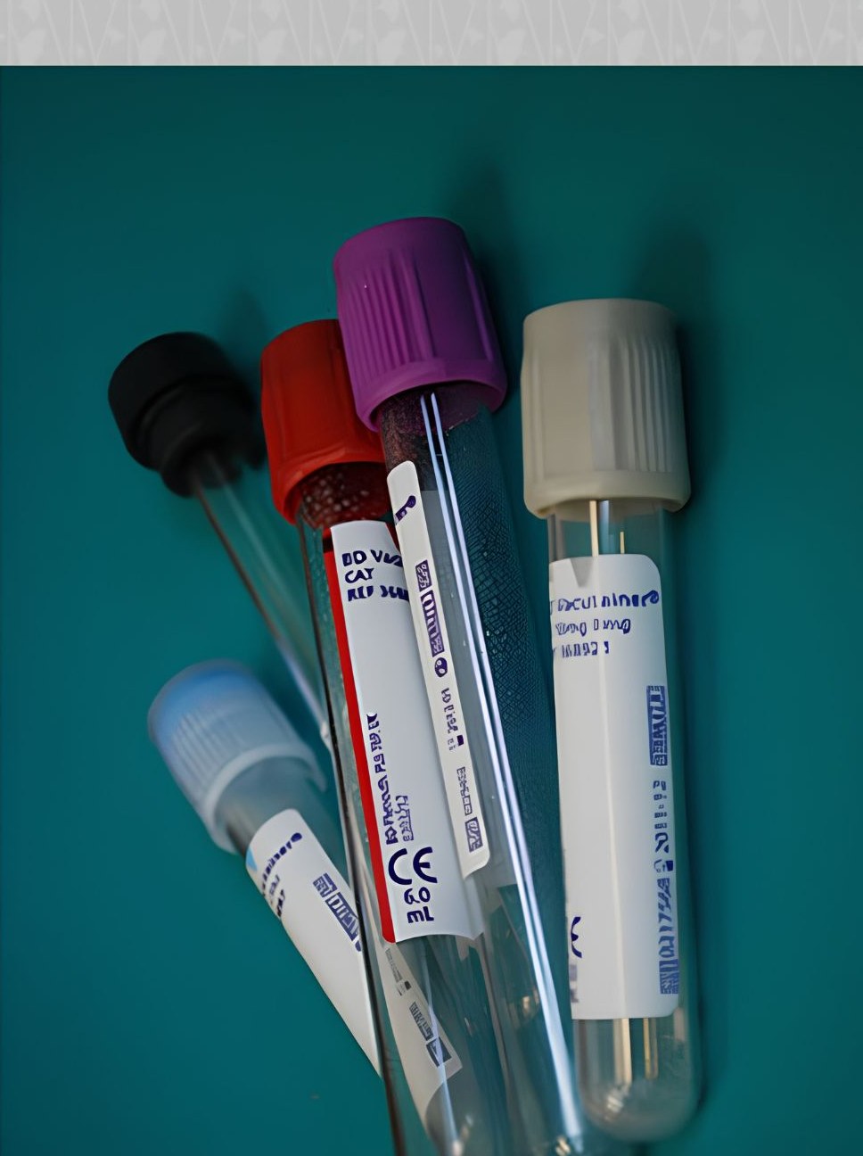 Examination and surgical gloves